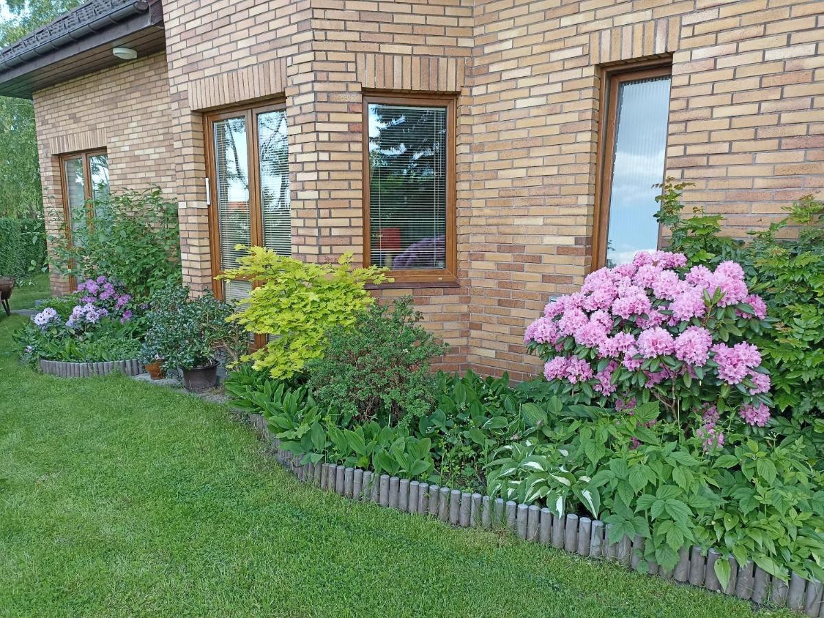 Dom Turysty Na Skarpie Apartment มัลบอร์ก ภายนอก รูปภาพ